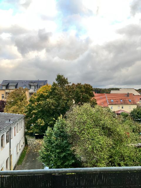 Schöne 2-Raum Whg.in Grimma, neues Laminat, Bad mit Fenster und Balkon! - Foto 2