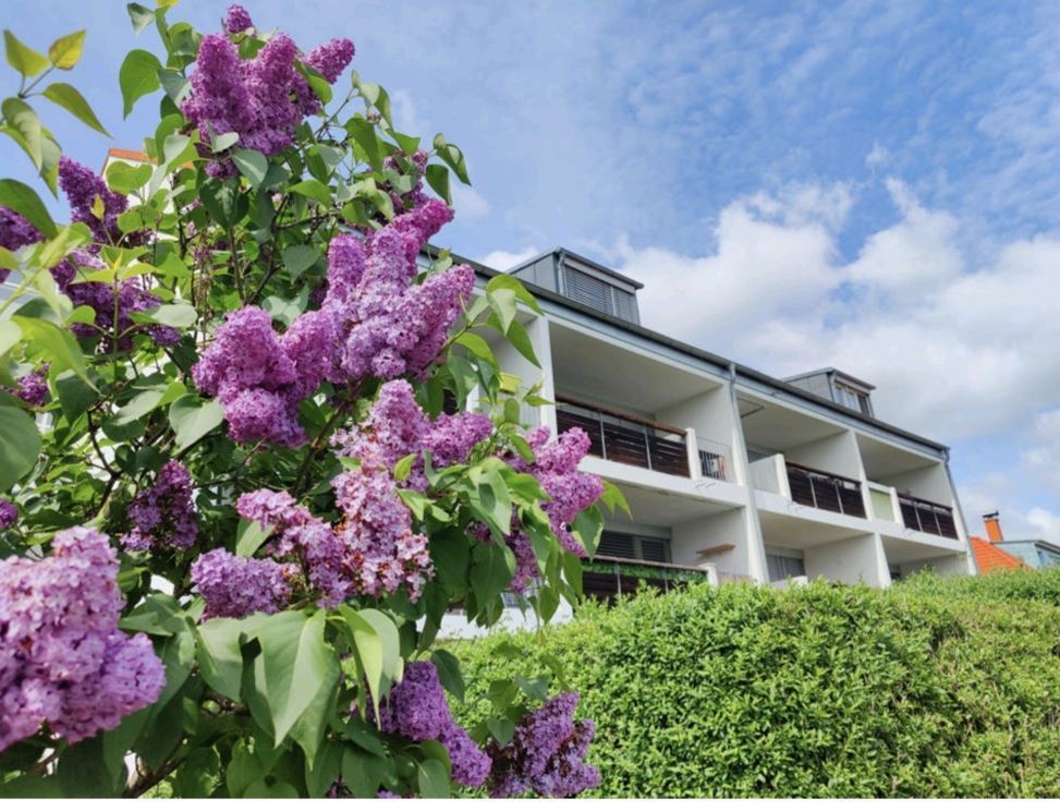 Schöne 2 Zimmer Whg. mit Weitblick in Queis, Balkon unt TG-Stellplatz! - Photo 4